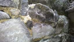 acastle
                          107525.jpg